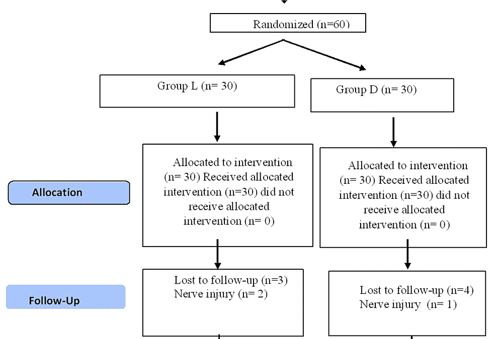 Comparative Analysis of Anaesthetic Efficacy of 2% Lignocaine With Dexmedetomidine as an Adjunct in Nerve Blocks for Dental Extractions: A Randomised Controlled Study